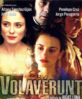 Volaverunt /  